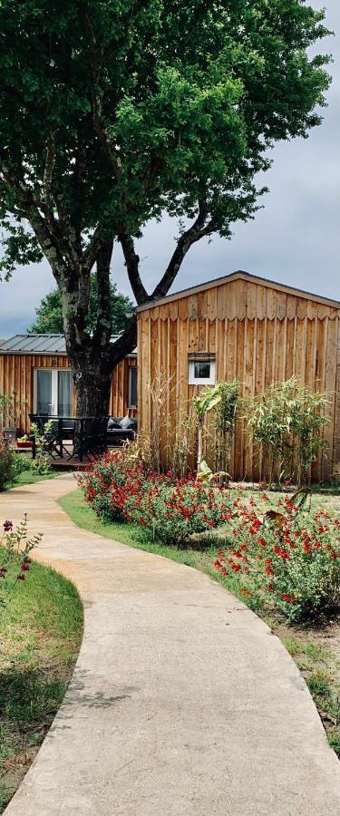 Les Petits Chalets De Kzo 拉特斯特德布赫 外观 照片